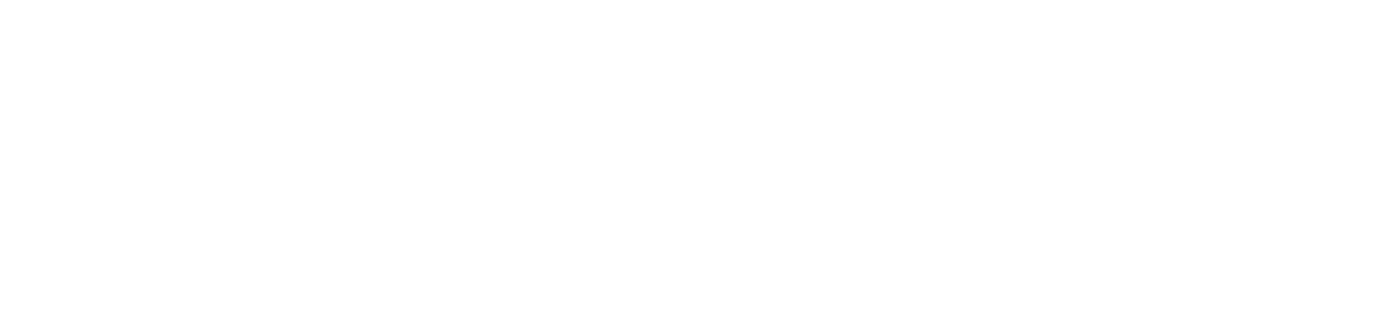 tern language school lms logo